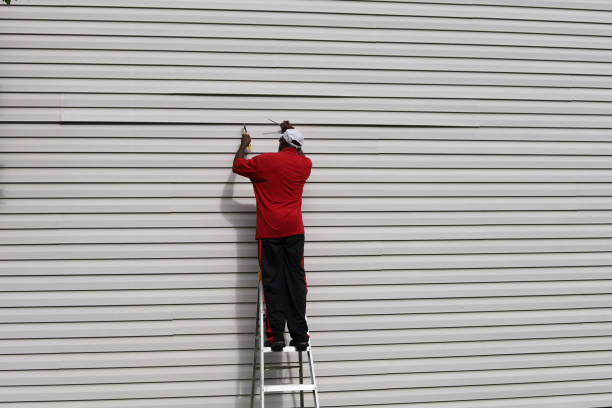 Best Stucco Siding  in Forrest City, AR